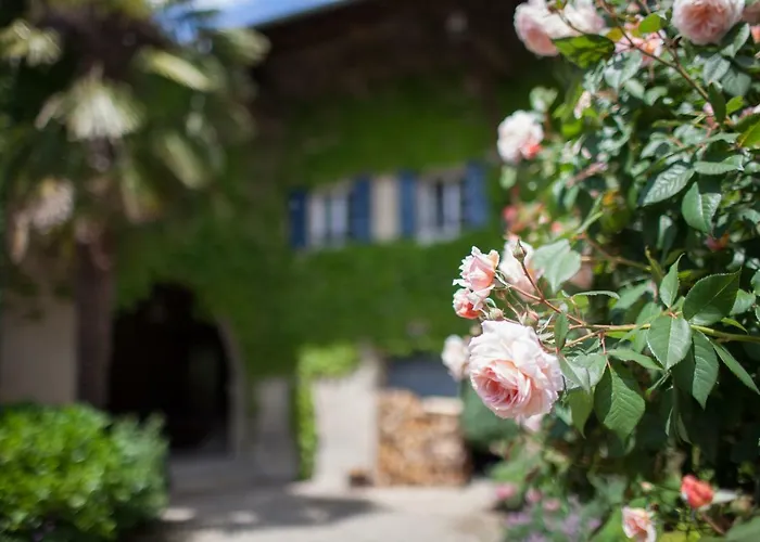 Le Clos Du Perret Bed and breakfast Chaussan