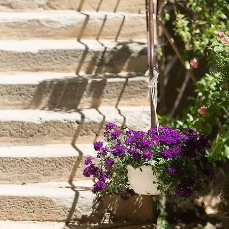 Bed & Breakfast Le Clos Du Perret Chaussan